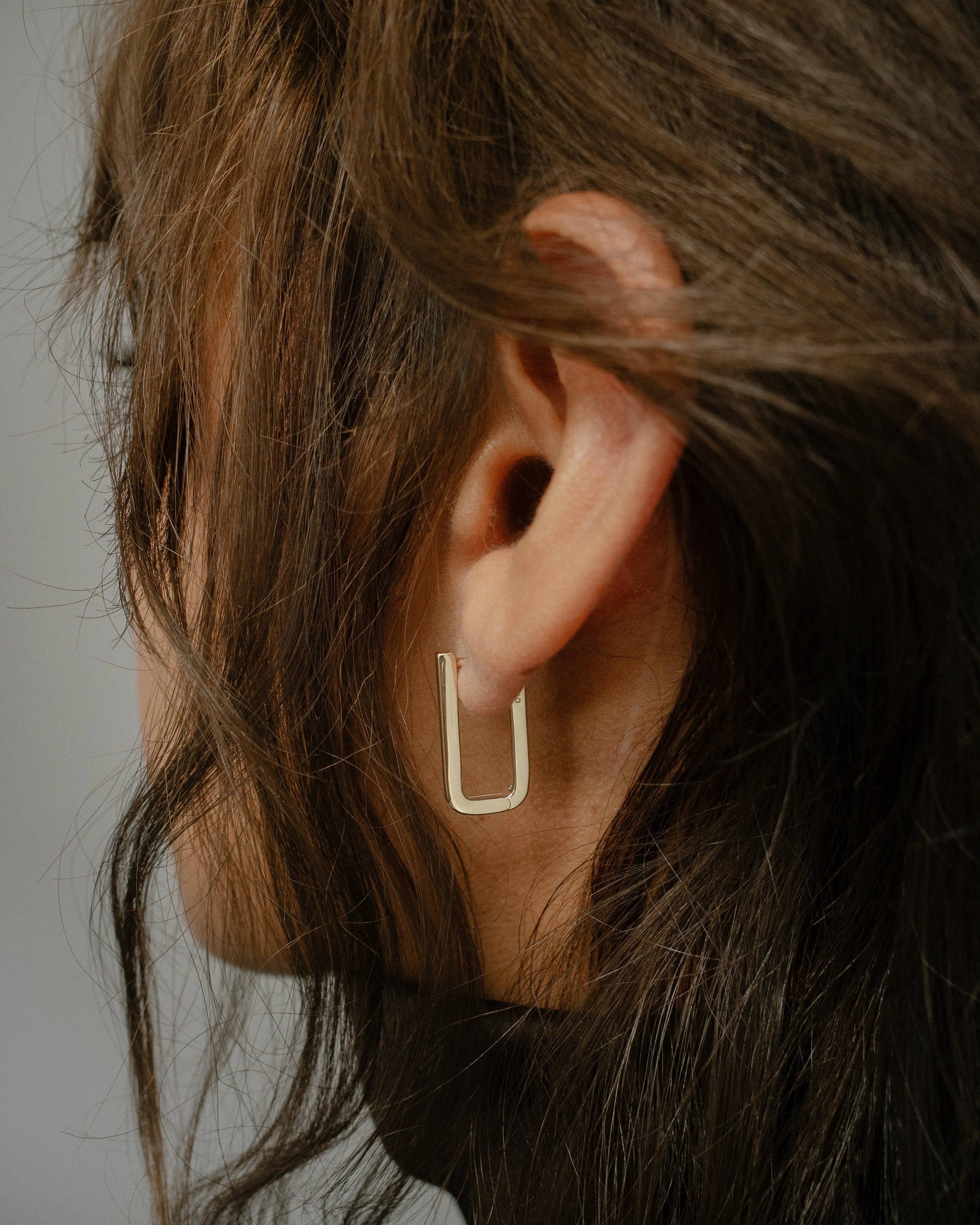 Chunky Rectangle Hoops