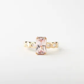 Customizable Elsie Setting